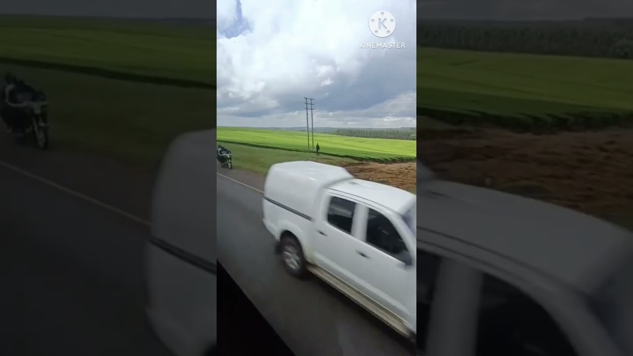 القرود على الطريق 🐒🐒 ملخص السفر من قريه نيروبى للعاصمه كينيا وجماله أشجار الشاى 🌳🌳🐵🐒