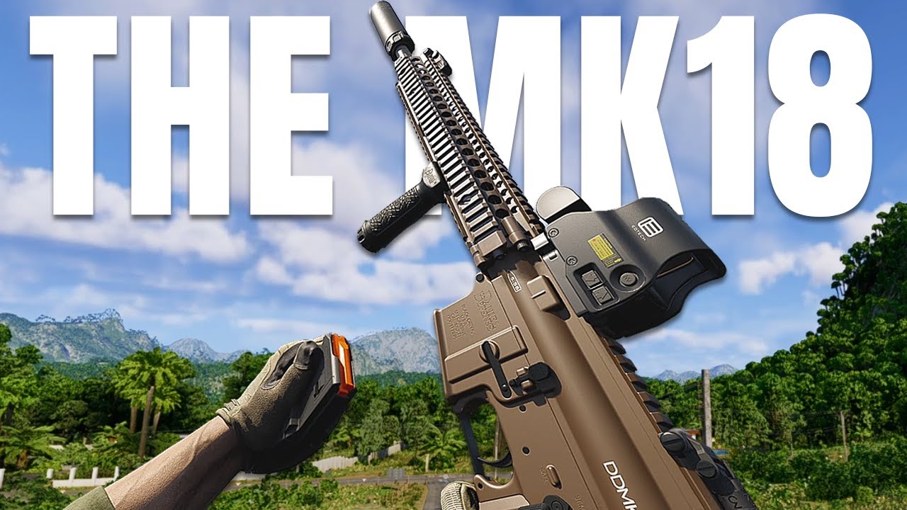 Road to the DDM4/Mk18 - Solo Gray Zone Warfare