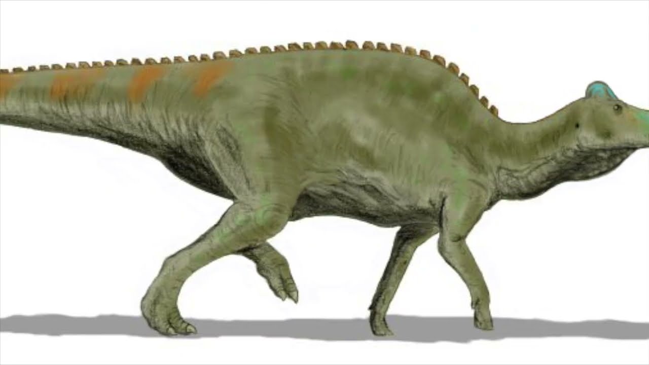 Recreated dinosaur sounds: EDMONTOSAURUS