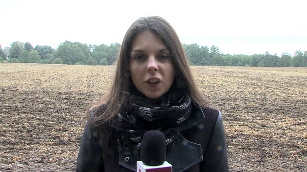 Trzcianka: Nielegalne wykopy poszukiwaczy skarbów