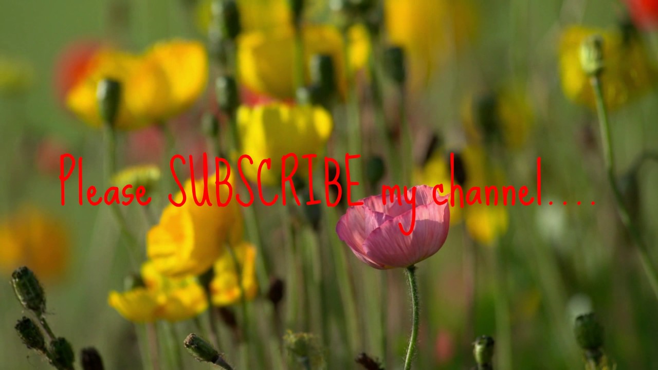 PLEASE SUBSCRIBE MY CHANNEL......