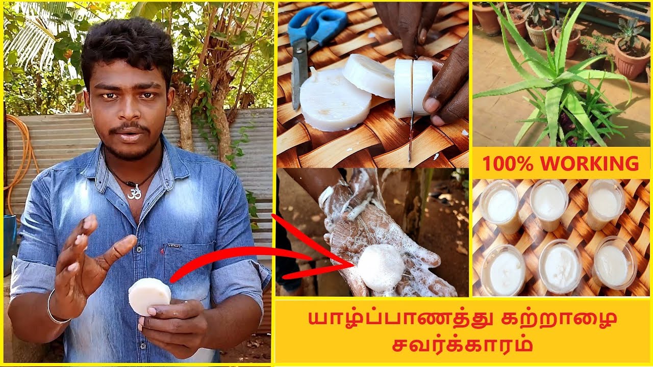 இனி யாழ்ப்பாணத்தில கற்றாழை சோப் நீங்களே செய்யலாம்😇 | Aloe vera soap making in jaffna