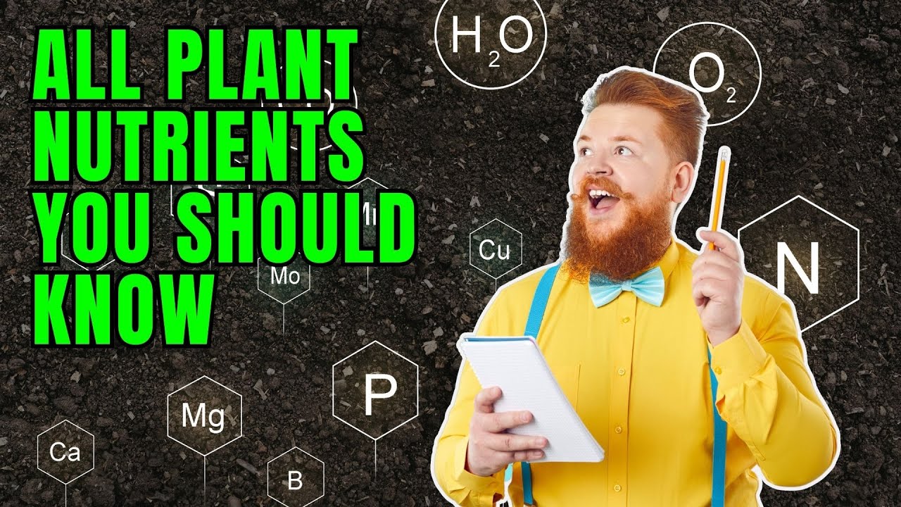 All essential nutrients your plant needs