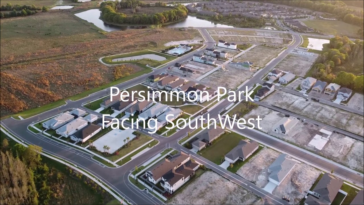 Fly Persimmon Park Wesley Chapel, Florida March 14th 2021 #flywesleychapel Drone Tour