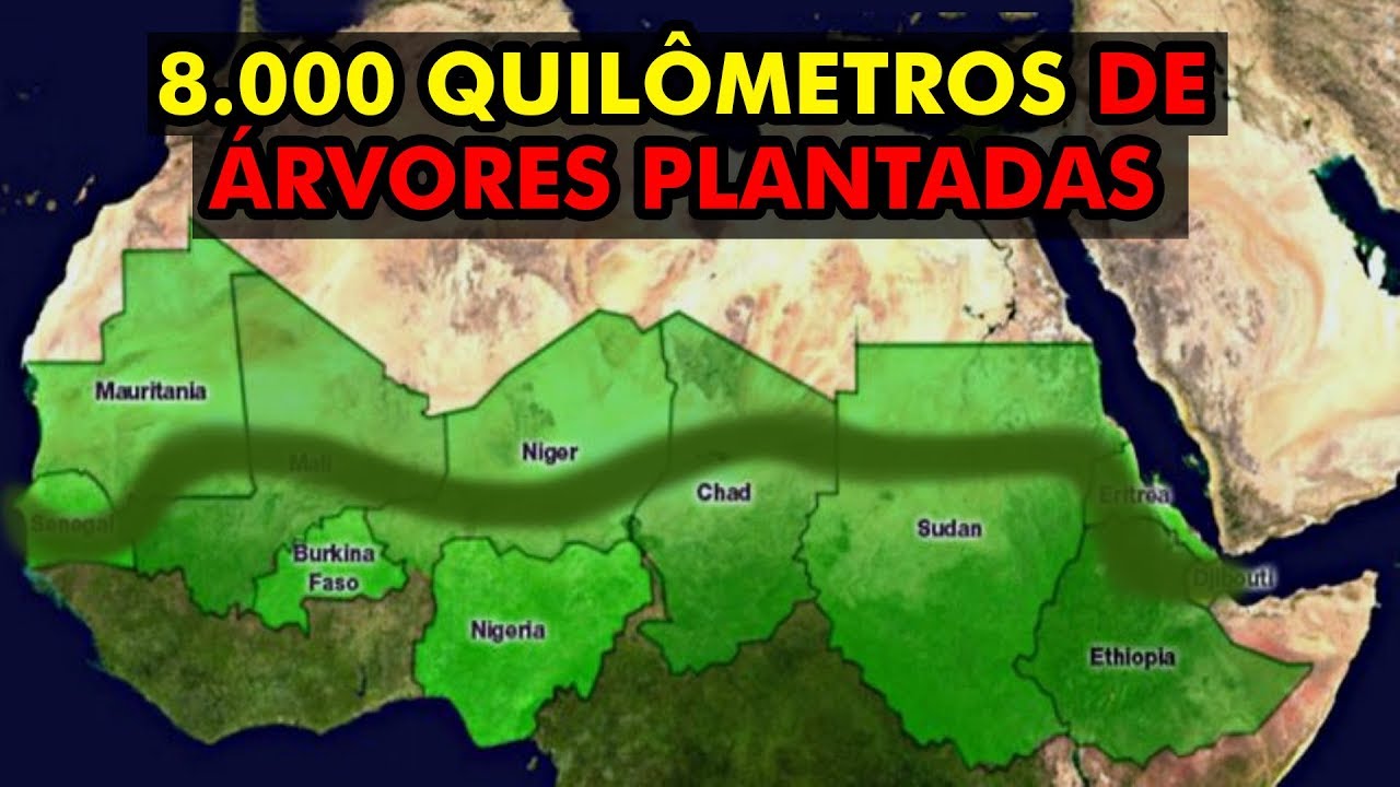 AS CONSEQUÊNCIAS DA 