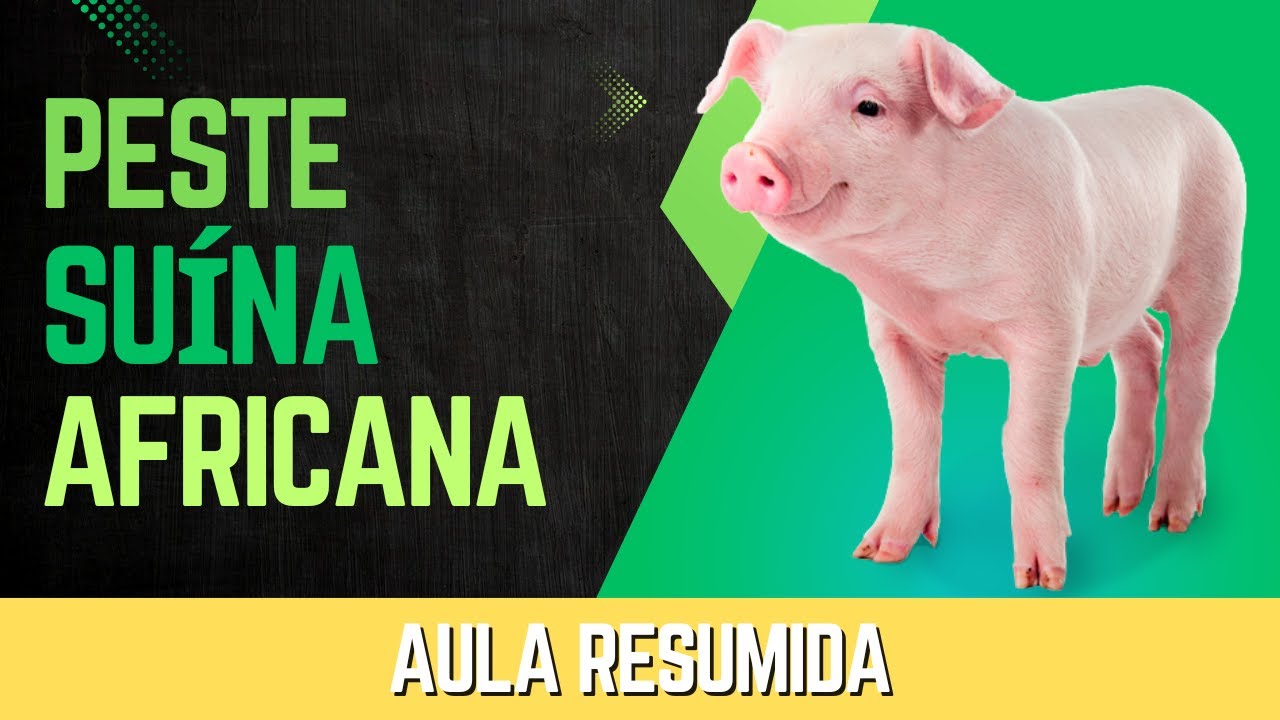 Peste Suína Africana (PSA) - AtualizaVet