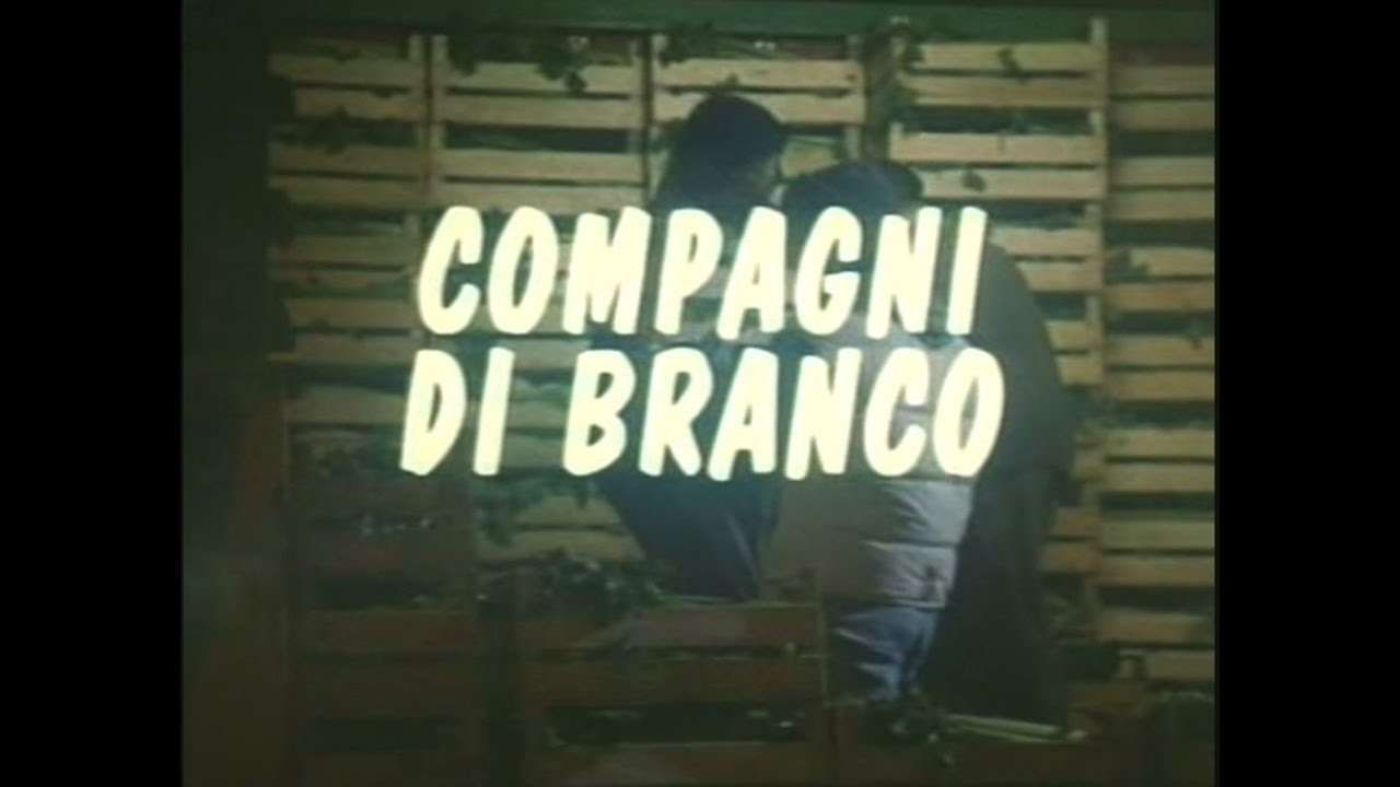 Compagni di branco (1996)