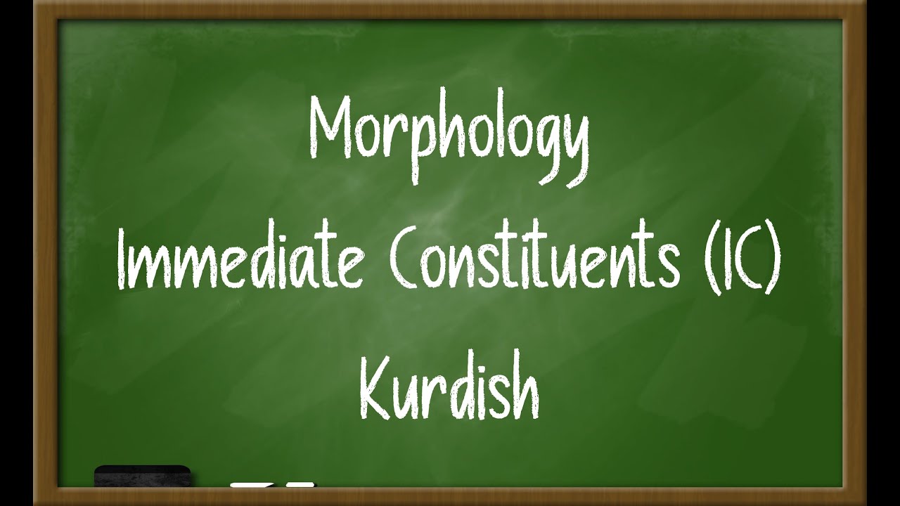 Morphology - Immediate Constituents (IC) بەکوردی
