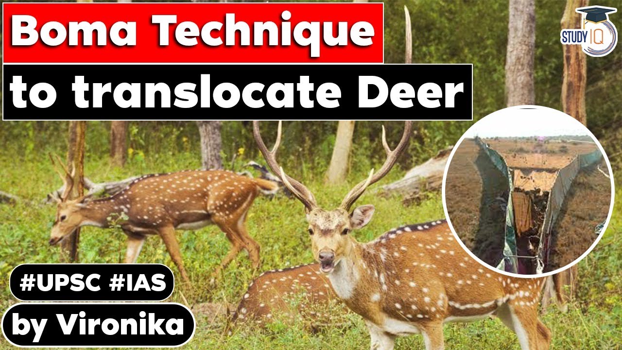 Boma technique adopted for translocating Deer from Keoladeo | Environmental Pollution & Degradation