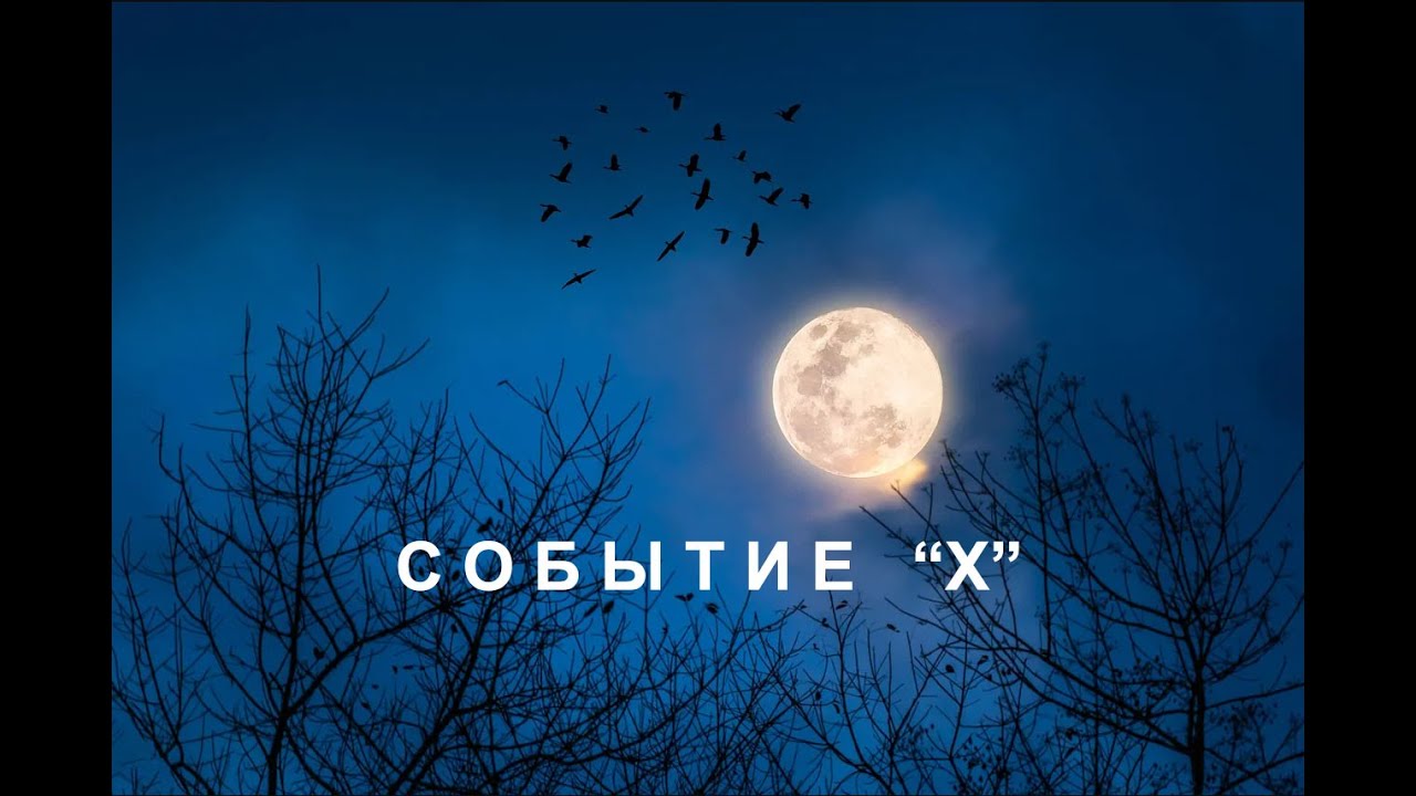 Усольцевы. Что знает Даниил Баталов и что не знает.