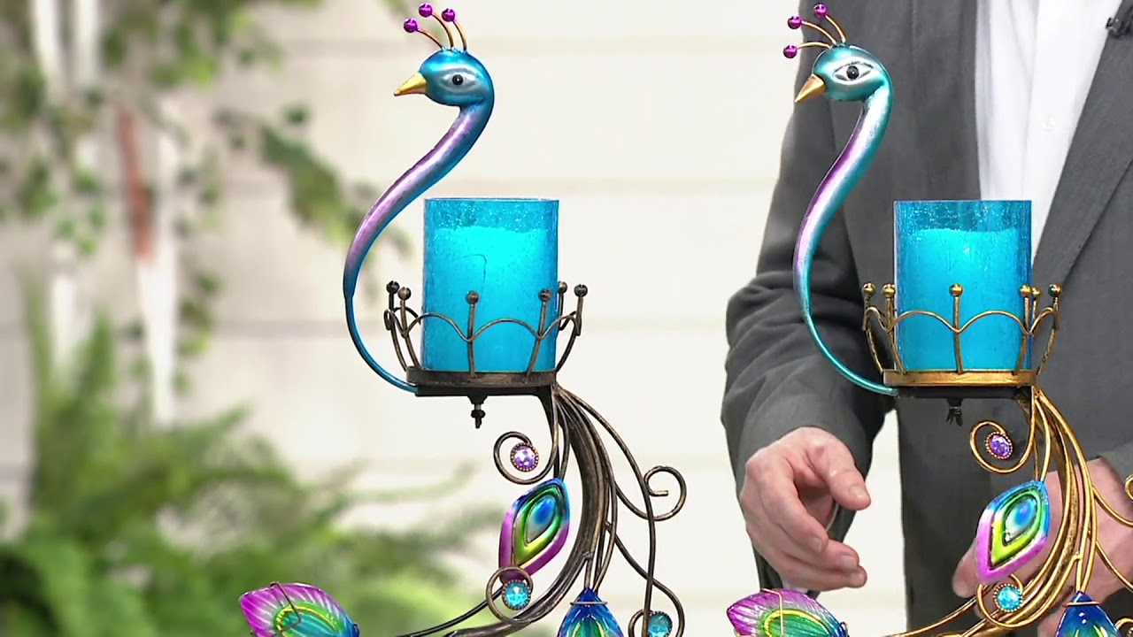 HomeReflections Indoor/Outdoor Peacock Flameless Candle Holder on QVC