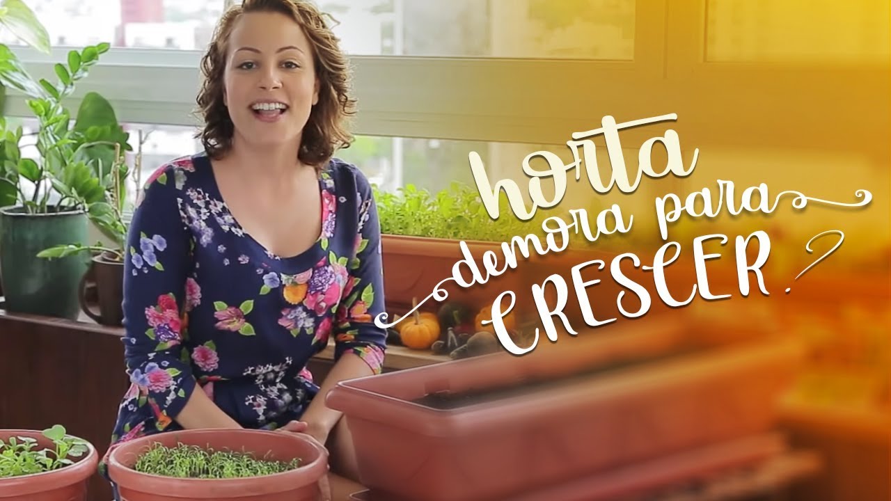 Minha Horta Desafio #3: Horta demora pra crescer