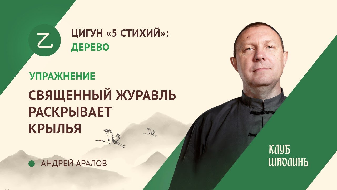 Комплекс цигун 5ти стихий. Упражнение 3. Священный журавль раскрывает крылья.  А.В.Аралов.