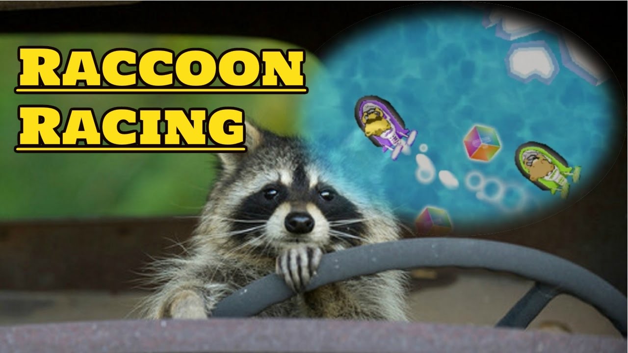 Unexpected North Pole Lose [Raccoon Racing Gameplay - Cup 8 Normal]