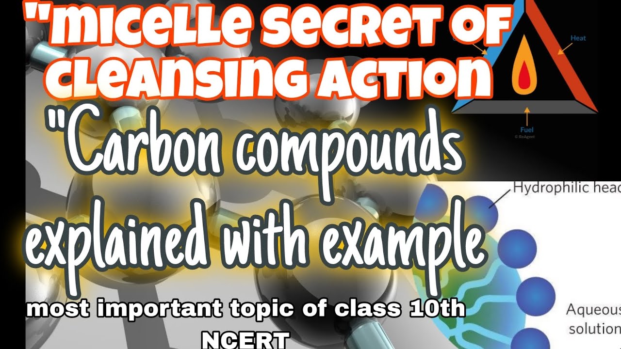 Very important chapter of science class 10th NCERT 4th chapter #sciencee #facts#important points 
