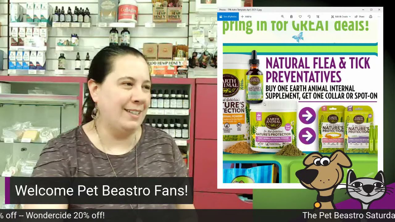 Natural Flea & Tick Products For Your Cat Or Dog