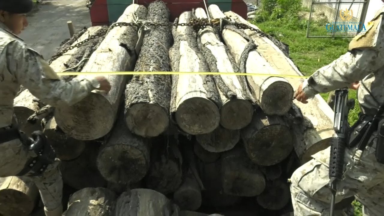 DIPRONA fortalece acciones para la protección del Rosul