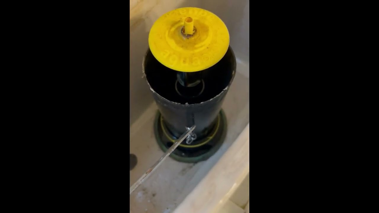 How to replace Kohler Canister flush valve