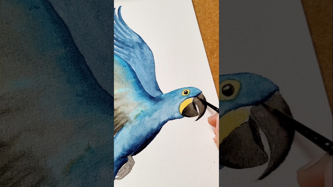Pintura Arara-azul-grande aquarela! Aves do Brasil 