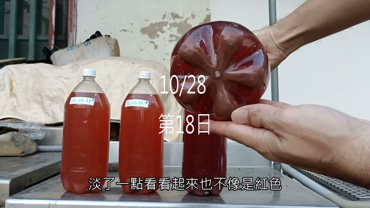 PSB培養實驗1【第三周】10%到底行不行呢？