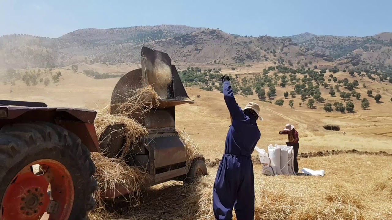 هەباشە کردن لەگوندی دەشتێ