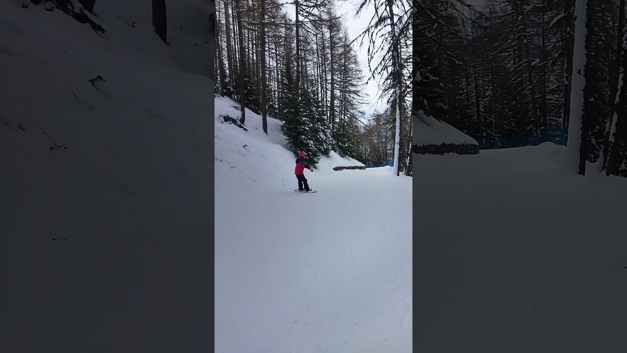 Crevacol pista nel bosco