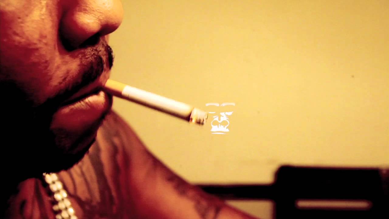 Gorilla Zoe - Work