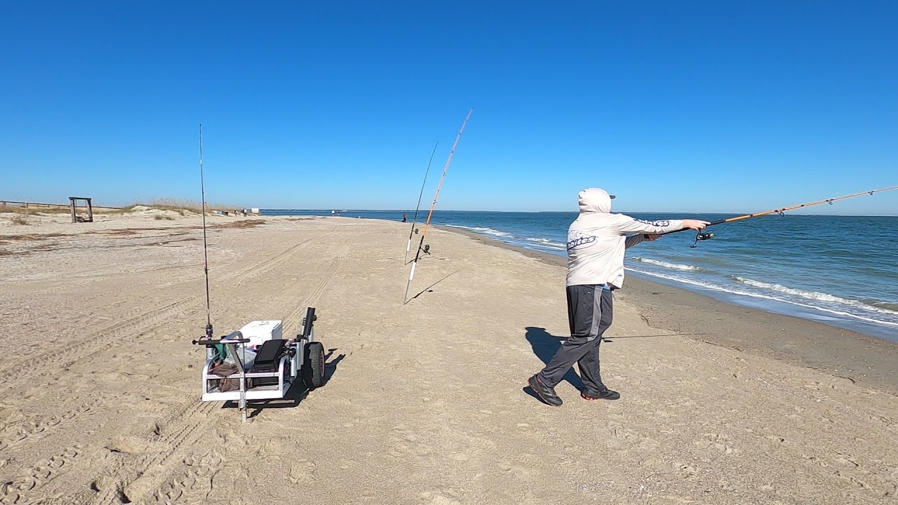 Fishing With SHRIMP Produces Results In The Surf NEW PRODUCT TEST