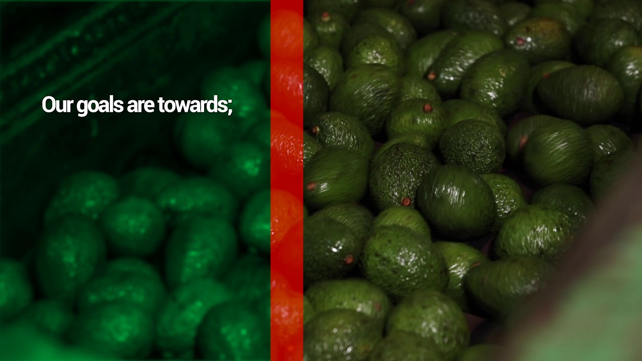 KENYA FRESH - leading exporters of fresh fruits and vegetables