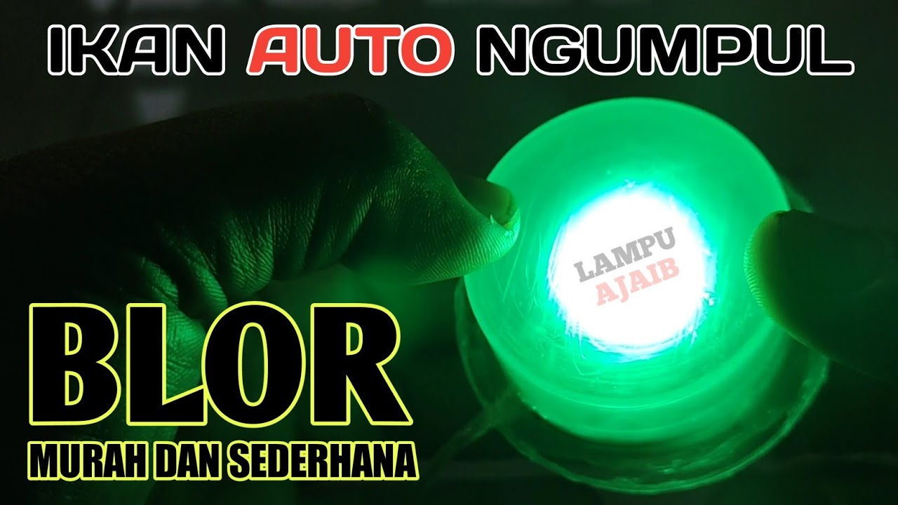 cara membuat LAMPU BLOR, untuk MANCING MALAM