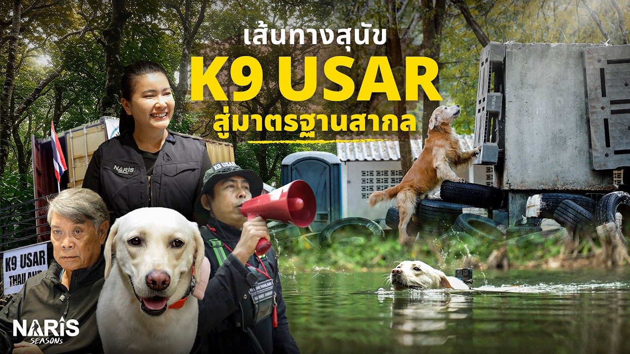 K9 USAR THAILAND X UN INSARAG สุนัขกู้ภัย มาตรฐานโลก | EP.133
