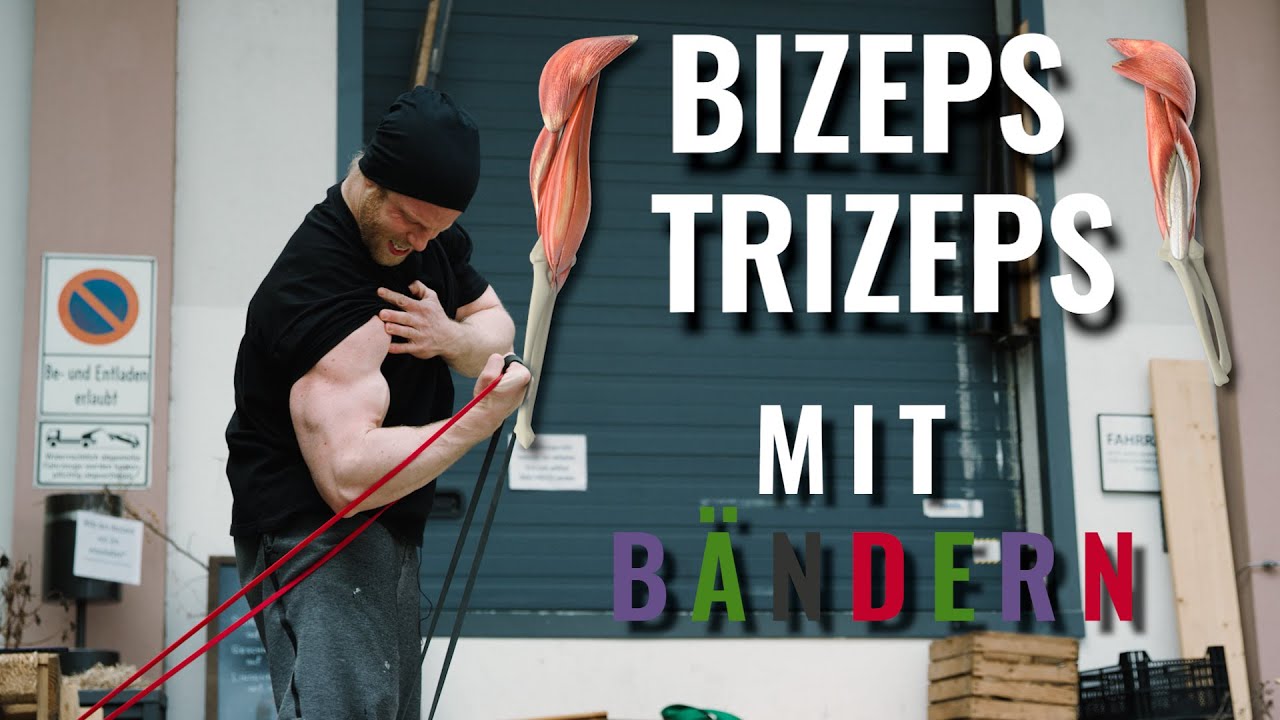 ASTL aufpumpen (Bizeps & Trizeps) - Intelligent Strength Education