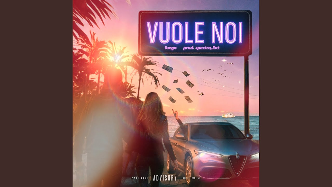 VUOLE NOI