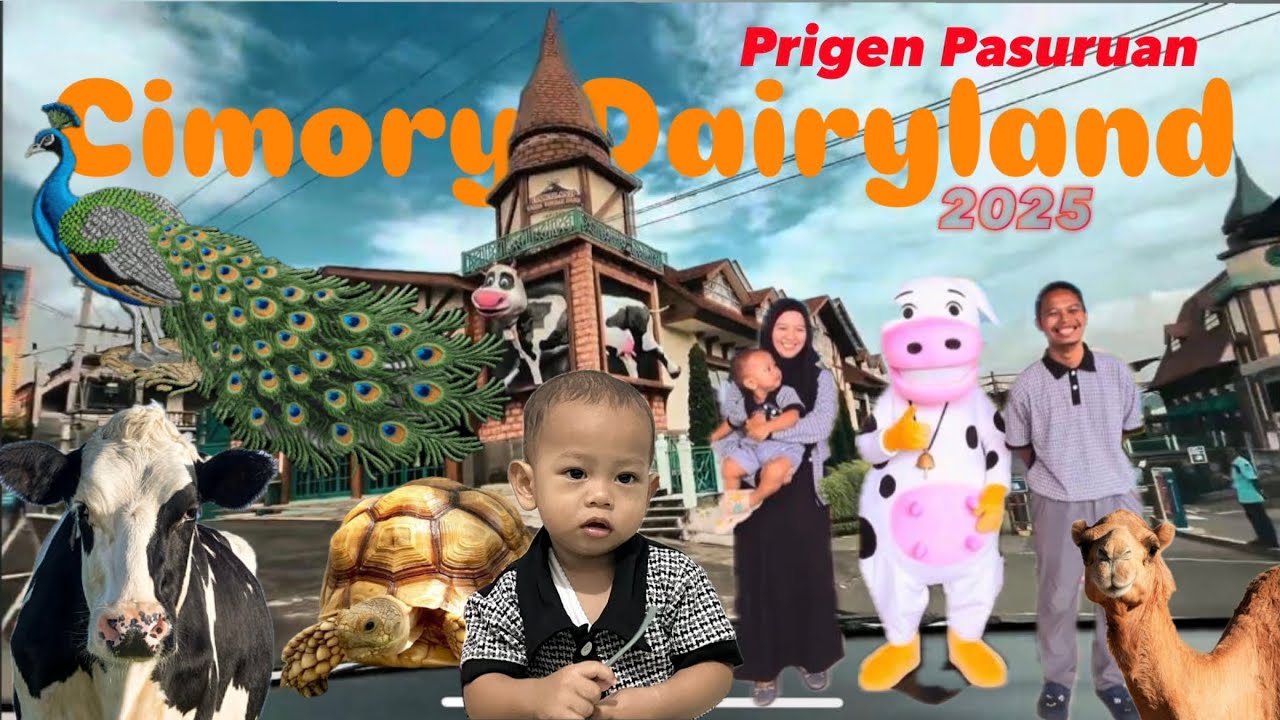 🔴 CIMORY DAIRYLAND PRIGEN PASURUAN TERBARU 2025 #cimorydairyland #prigen #zoo