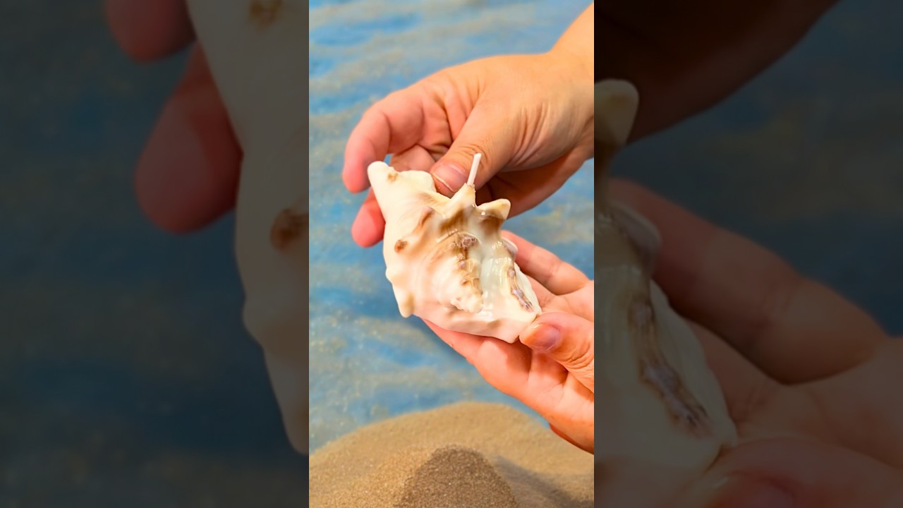 VELA CONCHA LIND&Iacute;SSIMA 🐚✨