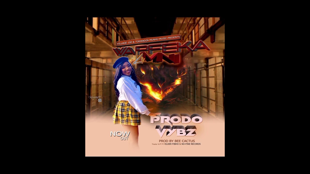 Prodo Vybz - Wapfeka kaMini mp3 