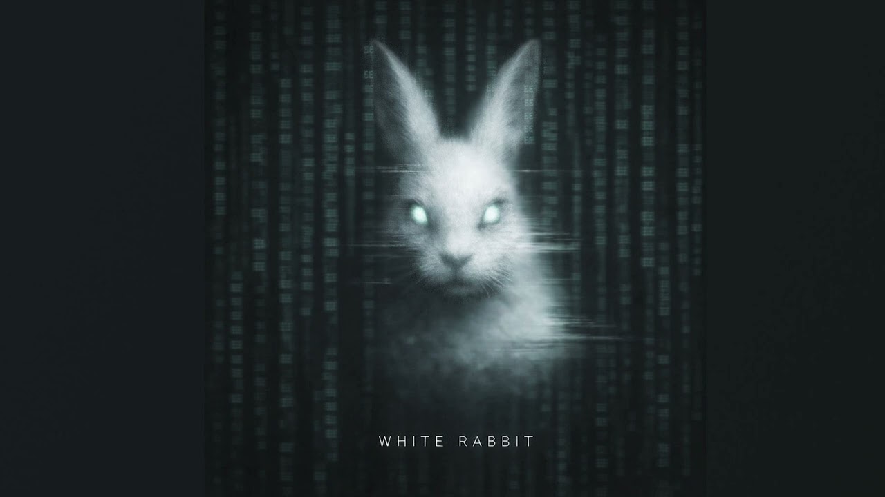 White Rabbit (Matrix)