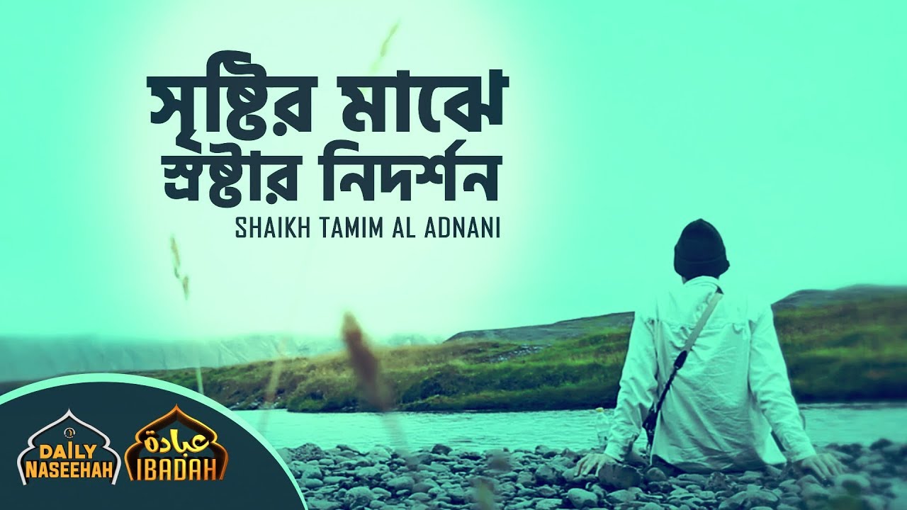 Daily Naseehah | সৃষ্টির মাঝে স্রষ্টার নিদর্শন  | Shaikh Tamim Al Adnani
