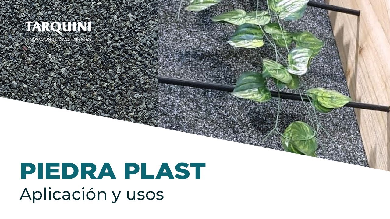 Curso Presencial Revestimientos Tarquini Piedra Plast