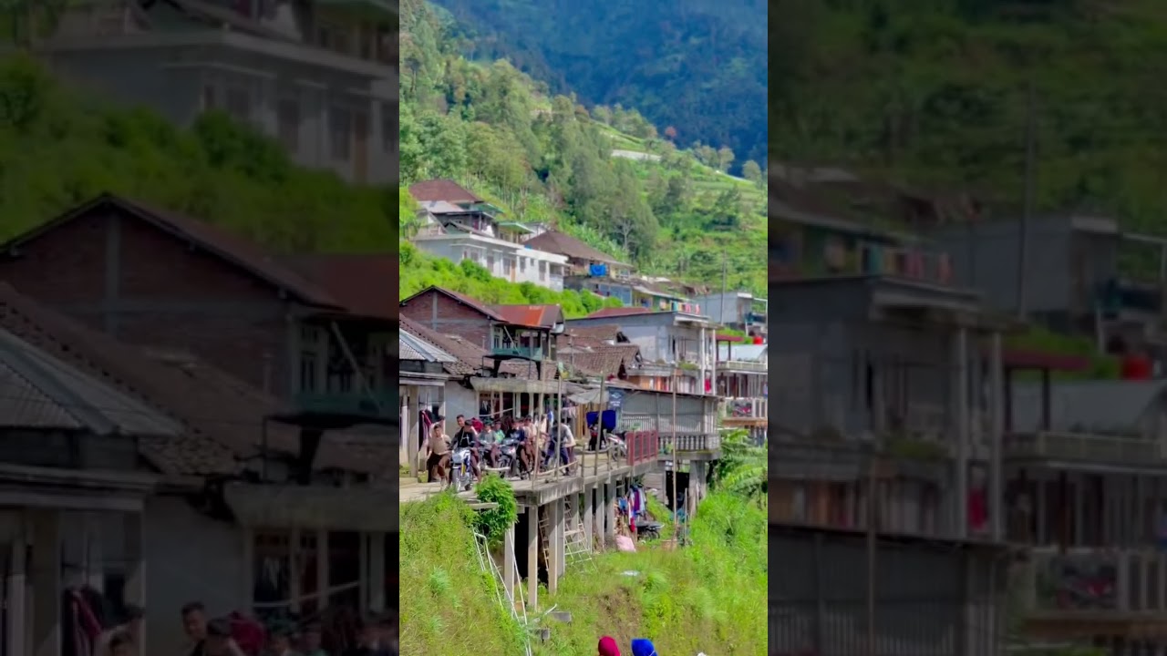 Desa Prampelan Adipuro Kaliangkrik Magelang #petani #fyp #desa #shortvideo #magelang