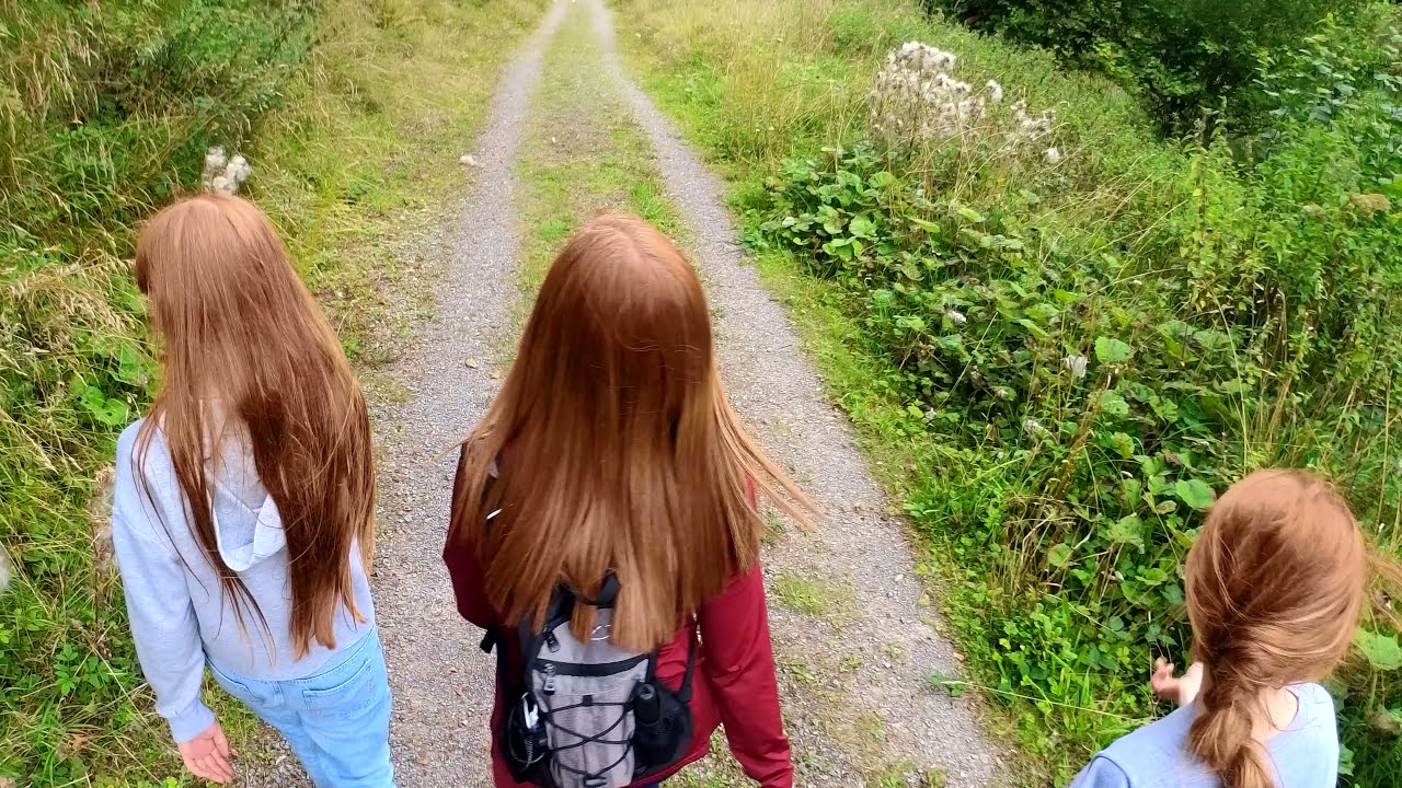 Discovering N. Ireland waterfalls Blackslee waterfall in Navar forest.