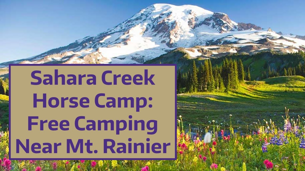 Sahara Creek Horse Camp: Free Camping Near Mt. Rainier