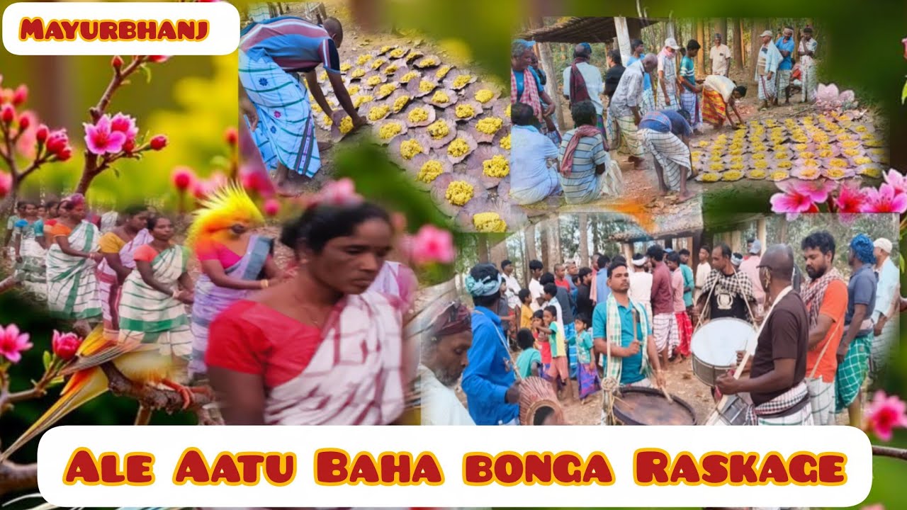 Ale Attu Baha Bonga 🏵️🌹🥀💐💐// Addi Raska Ge // Mayurbhanj Baha Bonga 🏵️🌾#bahabonga @ArjunTuduVlog 
