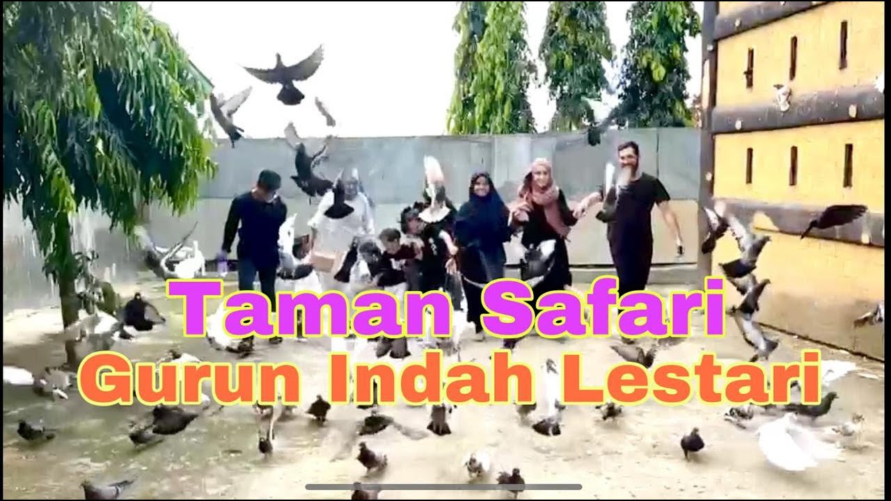 Wisata keluarga ke Taman Safari Gurun Putih Lestari