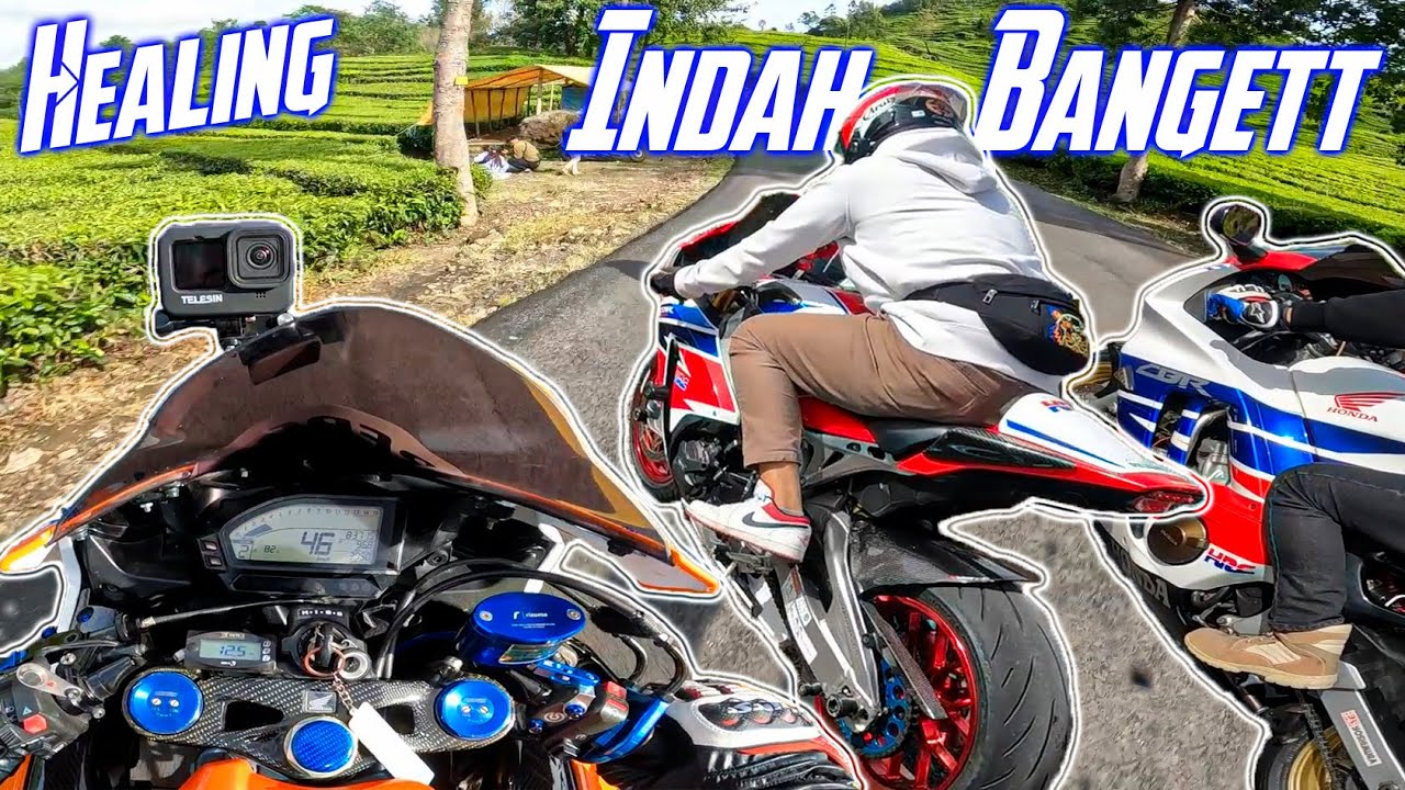 Squad Moge Cornering Cuci Mata - Bahaya Tikungan Jurang Semua | CBR1000