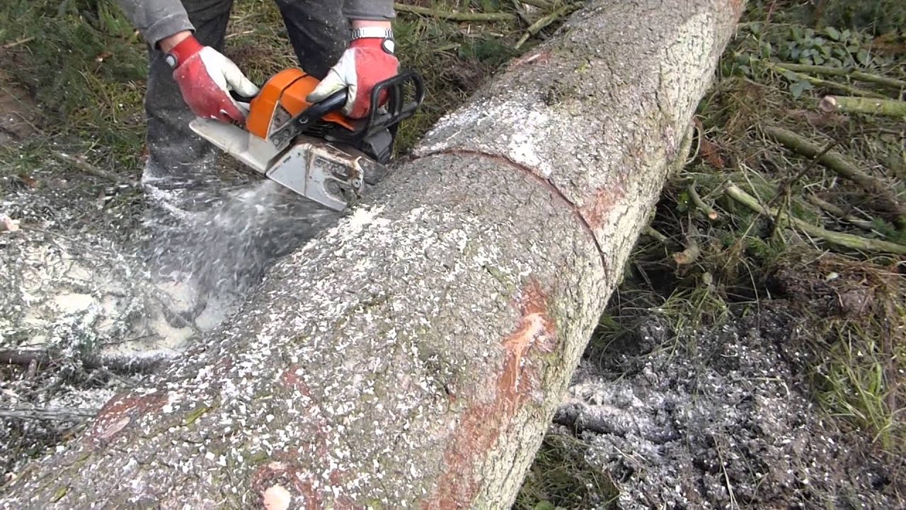 STIHL MS 260 | Slow Motion