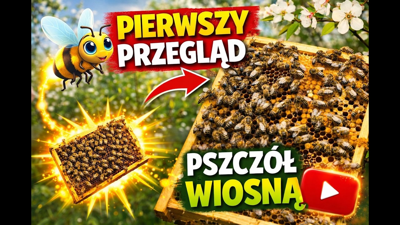 Pierwszy wiosenny przegląd w Pasiece na Masie 28.02.2026