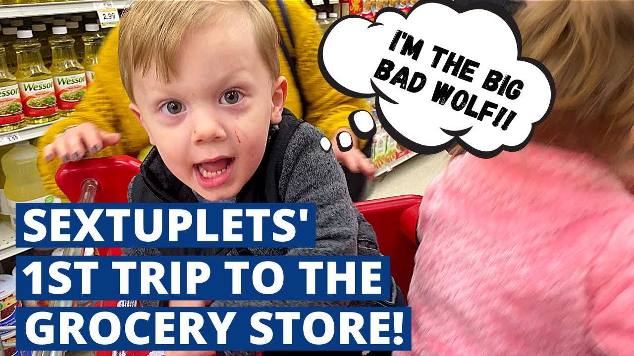 Making A Big Bad Wolf Cake w/SEXTUPLETS //1ST GROCERY TRIP