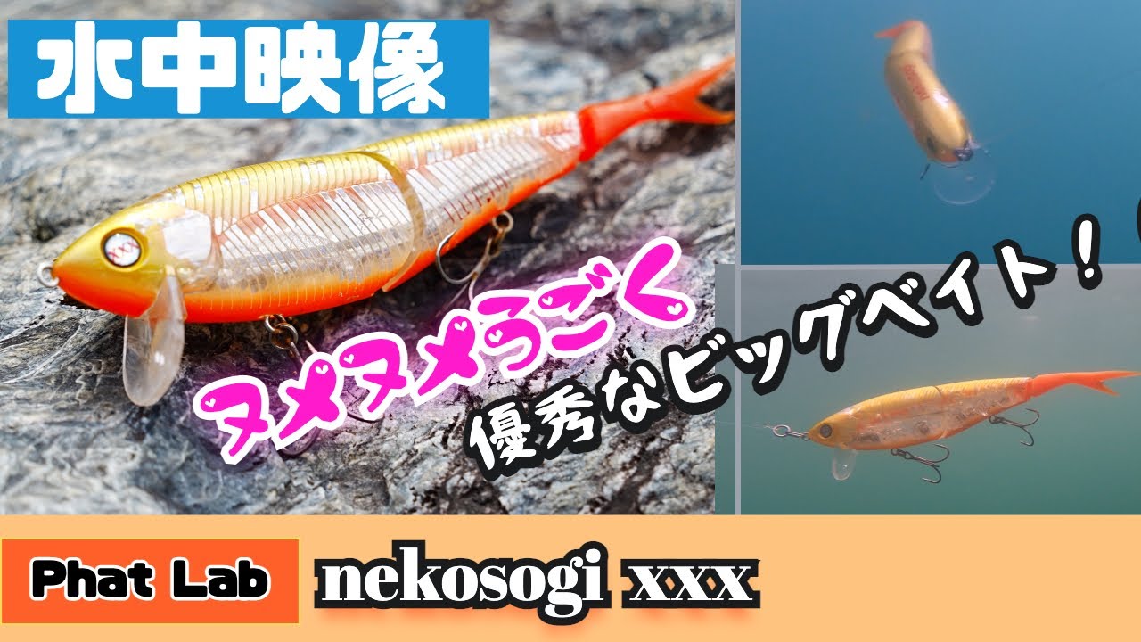【水中映像】ネコソギxxxは優秀なビッグベイトでした【シーバス】