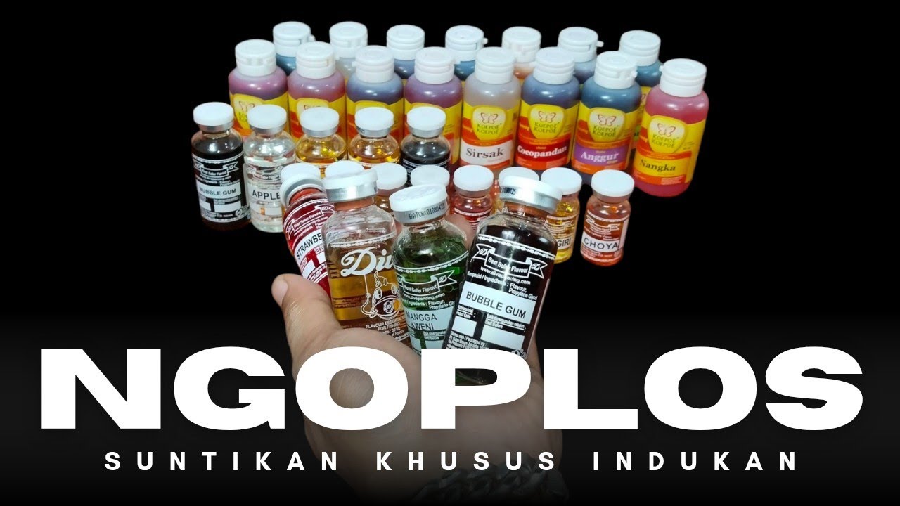 Viral Terbaru! NGOPLOS ESSEN GALAPUNG IKAN MAS KHUSUS BABON INDUKAN IKAN MAS